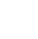 Icona Instagram