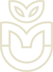 Logo Marco Cabassi